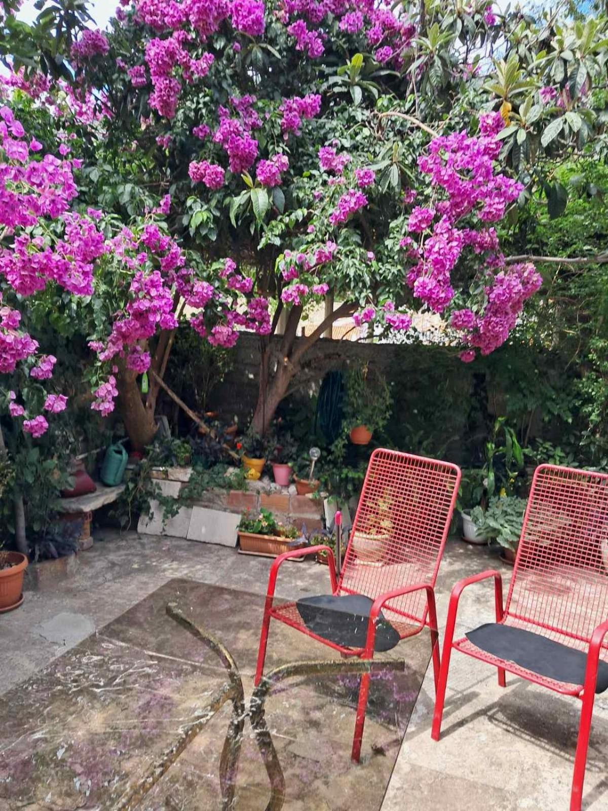Old Town Green Oasis House Dubrovnik Eksteriør billede